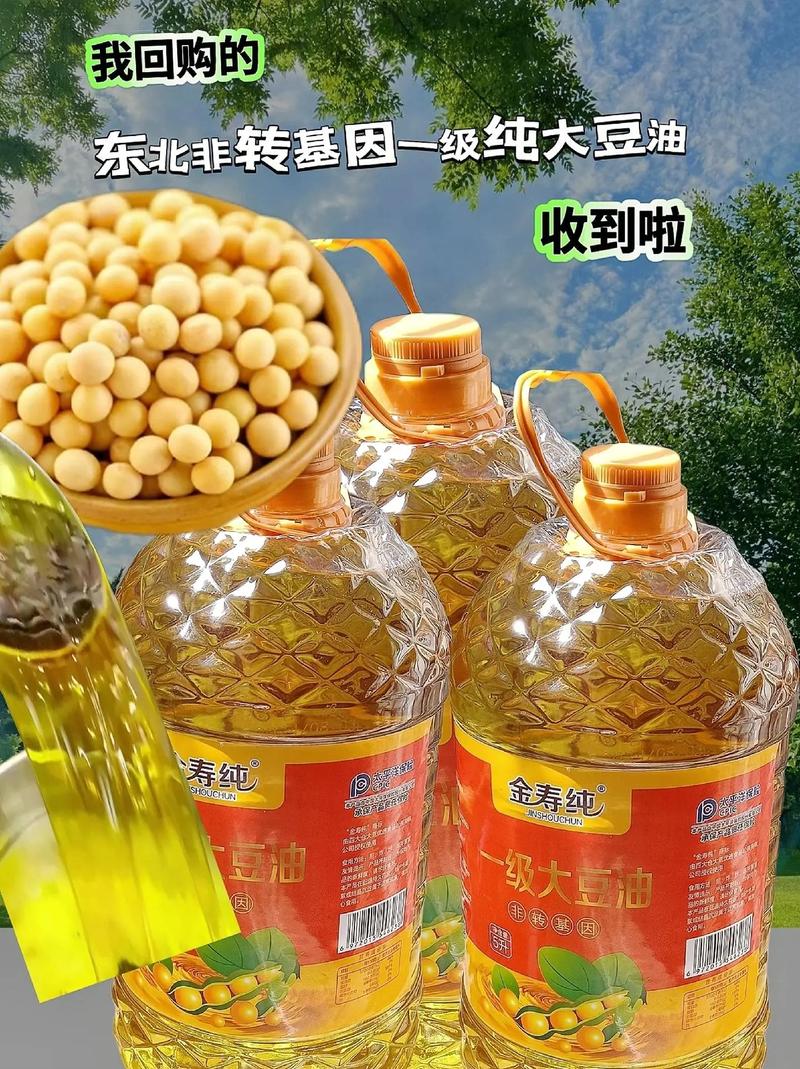 东北非转基因一级纯大豆油